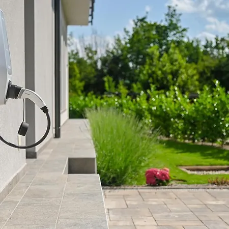 Figa I Vilă Gostinjac